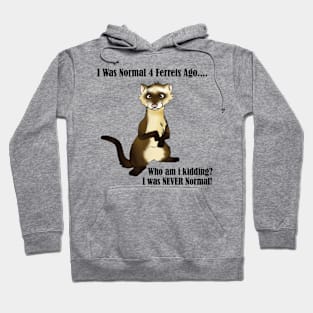 I Was Normal 4 Ferrets Ago Hoodie